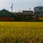 台湾料理 吉祥 - お隣は田んぼが広がっています