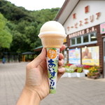 Nangoku Sa-Bisueria (Nobori Sen) Shoppingu Ko-Na- - 久保田食品 南国土佐の柚子あいすくりん (165円) '15 8月下旬