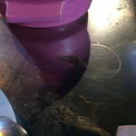 จุ่มแซ่บ ทะเลเผา (หนวด) - 生きてるので飛びます