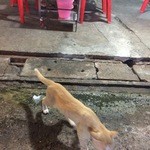 จุ่มแซ่บ ทะเลเผา (หนวด) - 