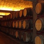 Freixenet Winery - 