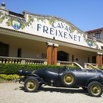 Freixenet Winery - 