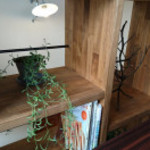 ポタージュ - ちょっとした可愛い