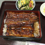 Unagi Kinsui - 