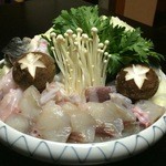 日本料理 もちづき - ふぐ鍋