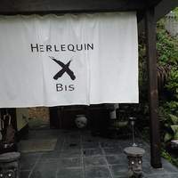 エルルカン・ビス - 