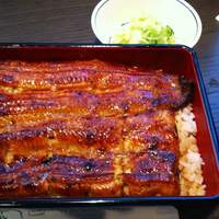 鰻 若松 - うな重　松(2100円)　アップにて