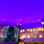 ワールドダイニング シーダパレス - 【バイキング夕食】会場