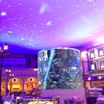 ワールドダイニング シーダパレス - 【バイキング夕食】会場