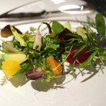 レフェルヴェソンス - Est et Ouest~notre assortiment de légumes（2016.Jan)