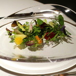 レフェルヴェソンス - Est et Ouest~（2016.Jan)