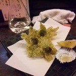 設楽 - 緑が眩しい蕗の薹