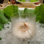 トゥ・ラ・ジョア - 蓮根のヴィシソワーズ（８月）