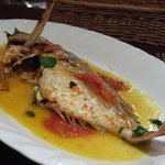 Supernova - 真鯛のアクアパッチョ