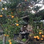 セント シュバイン - 