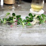 Restaurant PORTUS - 紋甲イカ　菜の花　キャビア