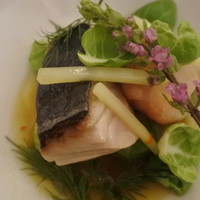 フランス料理 壺中天 - 魚は鰆