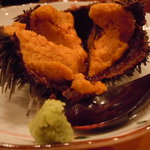 すし割烹 鮓はる - 2010年6月