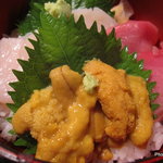 魚っ喰いの田 - 生ウニ本まぐろ丼　1,350円