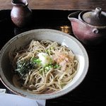 そば処 農 - おろし蕎麦、これはもり蕎麦よりやや甘めのタレをそのままぶっかけていただきました。