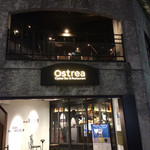 Ostrea - 