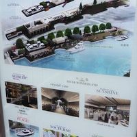 スミレオオサカ - 