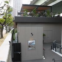 スミレオオサカ - 