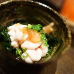 雪うさぎ - ぽんたち