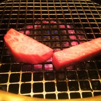 よろにく - 