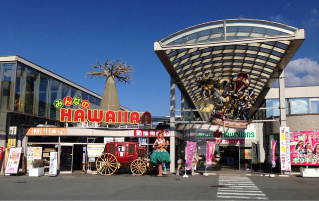 閉店 みんなのハワイアンズ バイキングレストラン 田京 バイキング 食べログ 閉店 みんなのハワイアンズ バイキングレストラン 田京 バイキング 食べログ
