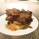 エクアトゥール - 2016/01_メイン①スッポン