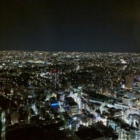 天空の庭　星のなる木 - 