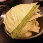 京松蘭 - キャベツ