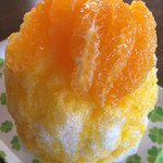 雪みるく - 柑橘ミックス(みかん&でこぽん)800円