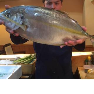 本当に旨い、新鮮な『旬のお魚』食べれるお店
