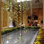 Nha Hang Ngon - 天井が吹き抜けで開放感あります