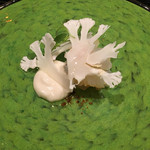 カモシヤ クスモト - 