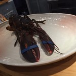 ２０１６・１月　活けオマール