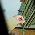 レストラン 北野クラブ - 