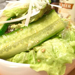 炭焼 金竜山 - 2016/01_サラダ