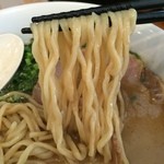 麺屋 菜々兵衛 - 【2016年01月】煮干とんこつラーメンの麺アップ。