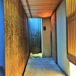 虎白 - 趣のあるアプローチ