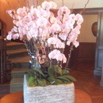 レストラン クレッセント - １階ロビー