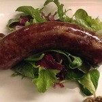 サンフォコン - うっほ！