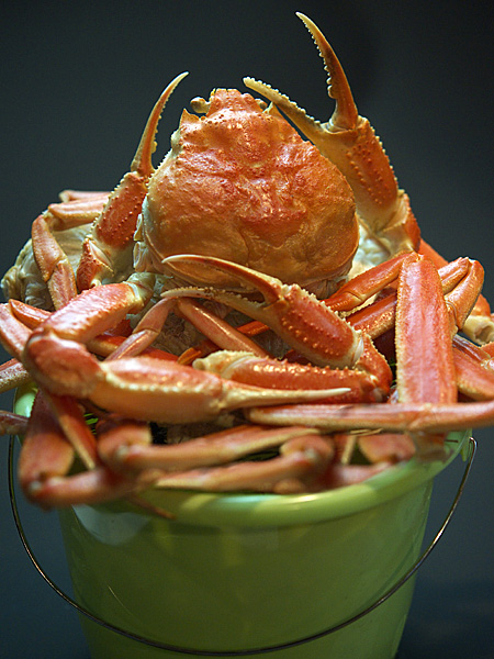 Shonen Jidai photo 3