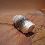 すし匠 - 新子握り（静岡県産）