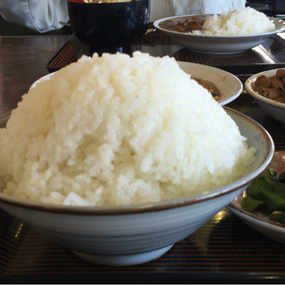手打ちうどん 山崎屋食堂_1