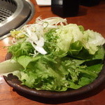よろにく - 塩だれサラダ
