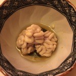 赤坂 詠月 - 白子