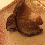 赤坂 詠月 - 椎茸